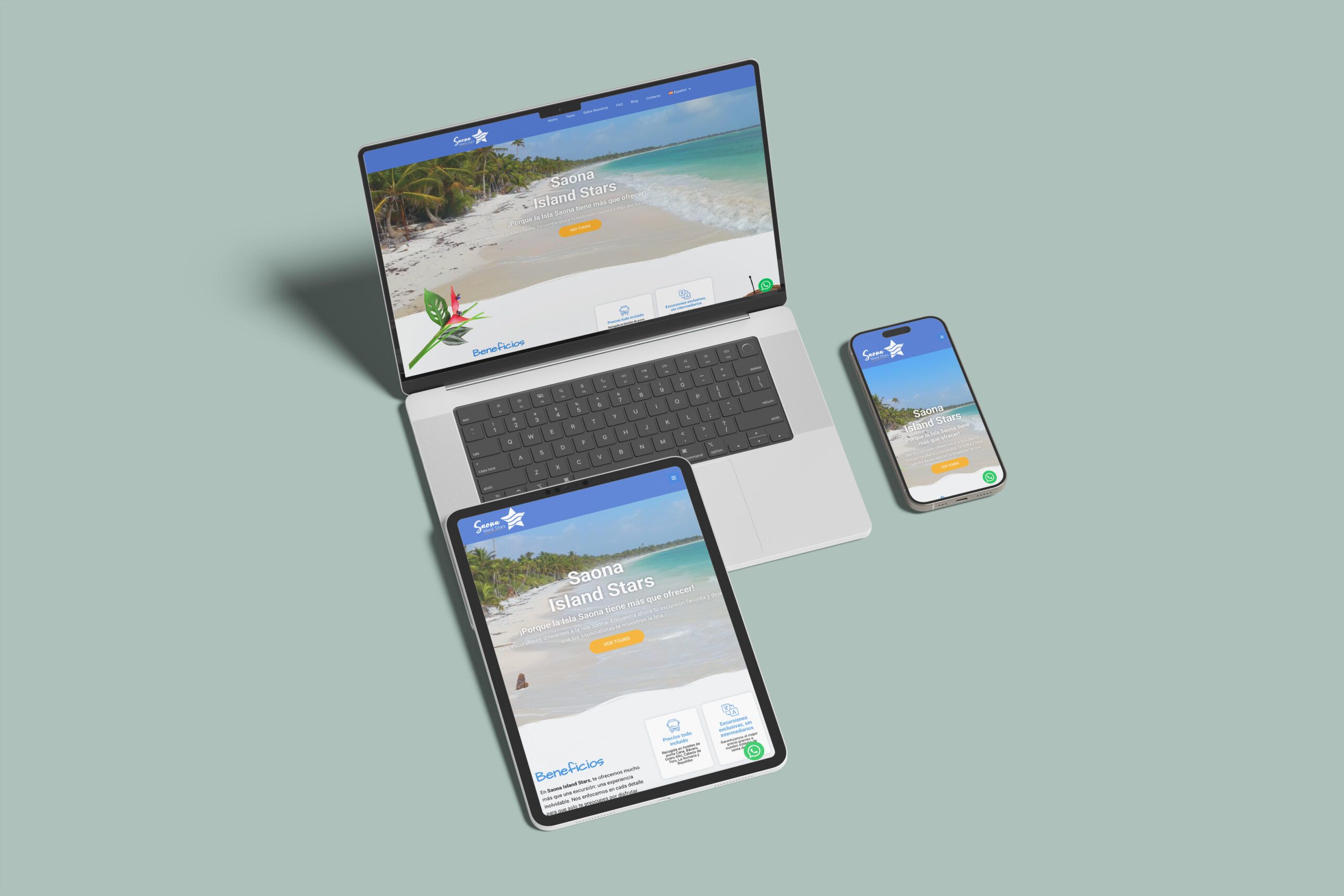 Saona Island Web